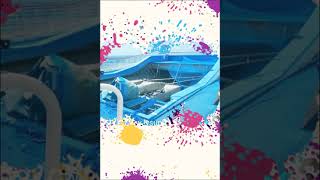 How to buy a flow rider from lysunny.net surfing simulator factory