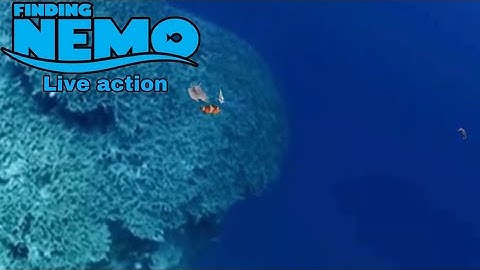 Buscando a Nemo/ live action/ parte 3