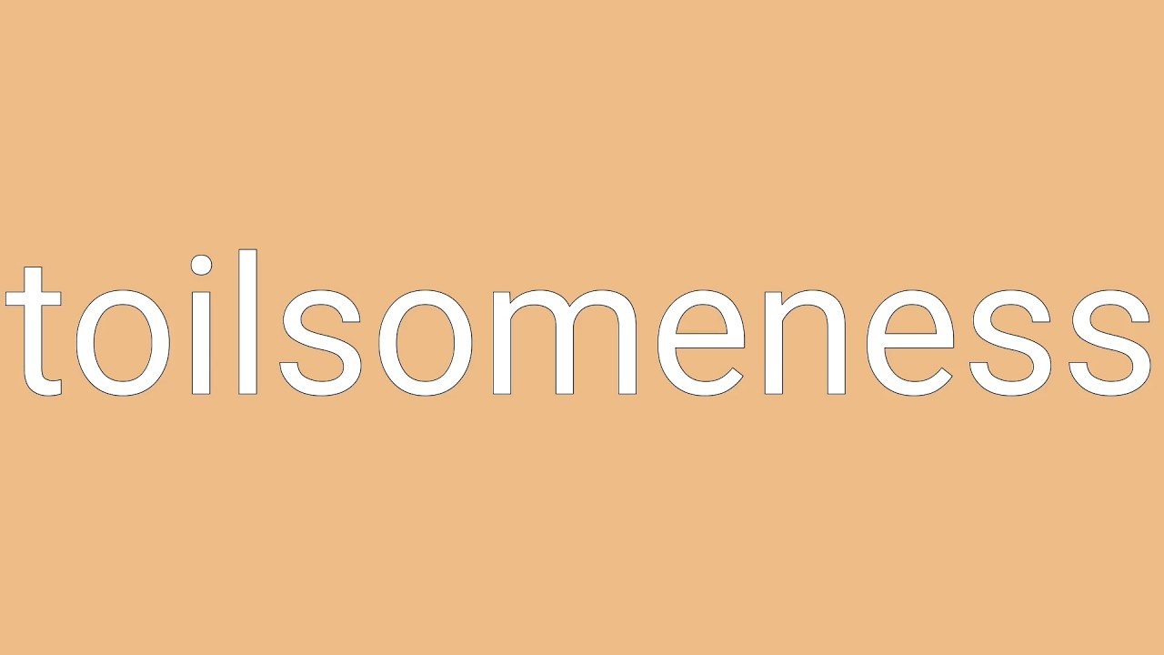 Toilsomeness Definition & Meaning