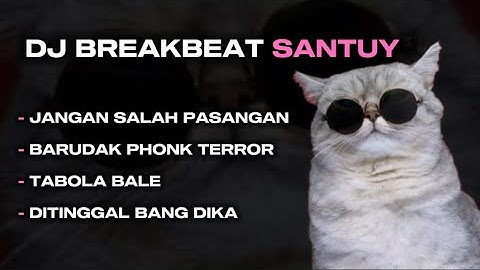 DJ BREAKBEAT SANTUY 2025 | JANGAN SALAH PASANGAN X TABOLA BALE