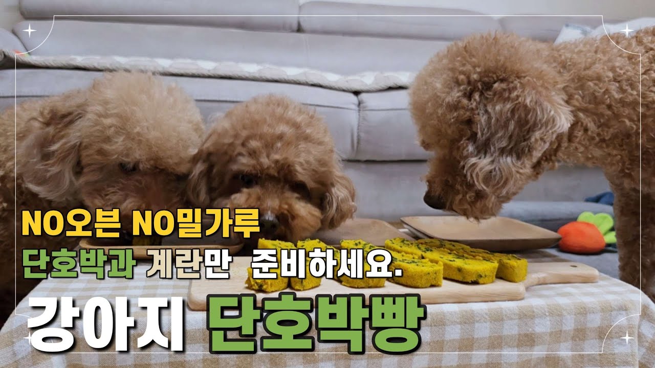 강아지 간식 단호박빵! 전자레인지로 단호박빵 만들기 | 강아지 먹방 | Making dog snacks