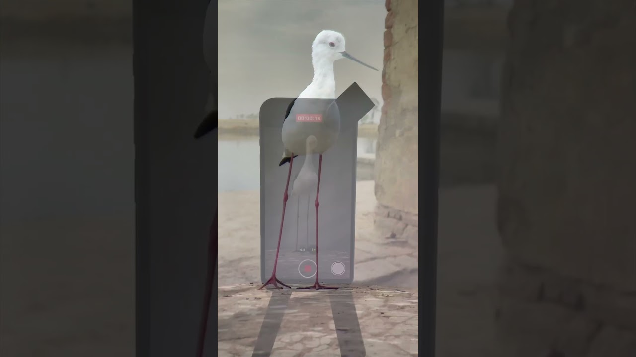 Mobile se bird photography 😍😍  