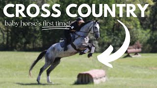 BABY HORSE’S 1ST XC SCHOOLING (realistic vlog)!