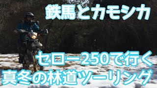 【セロ−２５０】真冬の林道ツーリング　vol.1