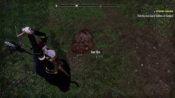 Elder Scrolls Online-funny glitch-can