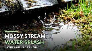 Water Drop in Quiet Stream | Slow Motion Water Splash on Pebbles | Peaceful Stream Sounds for Study