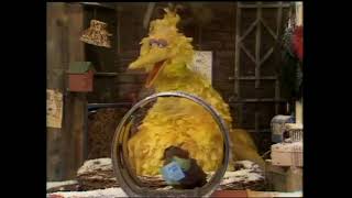 Clic Sesame Street - Sherlock Solves A Big Bird Mystery