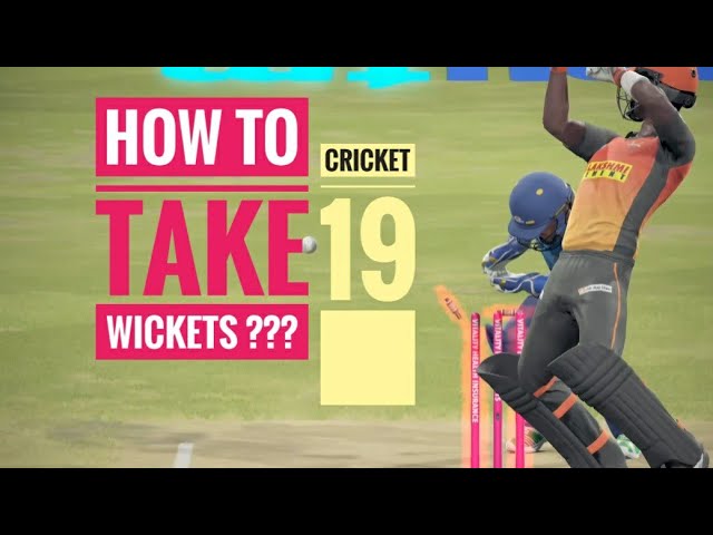 cricket 19 to take wickets ? spin -