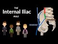 Internal Iliac Artery (The 2+4+4 rule)