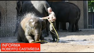 📹 I El debate tras el suceso de Cabárceno
