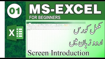 Microsoft Excel Tutorial in Urdu / Hindi - Screen Introduction Class 01.
