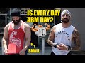 Is Every Day Arm Day?