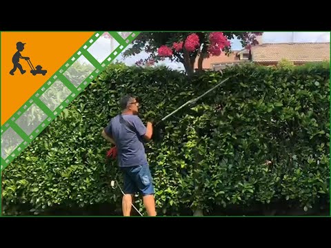 Einhell GC-HH 9048 adjustable electric hedge trimmer on telescopic pole - Customer's operating video