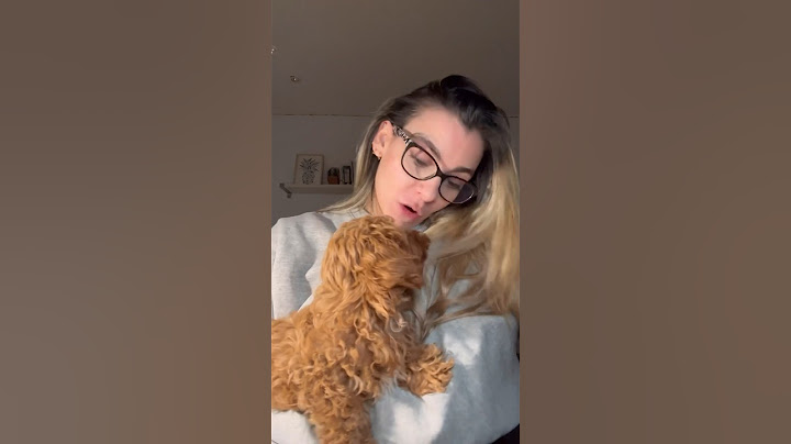 El primer paseo de mi perro! En realidad fue hace 10 días pero no lo subí 😅 #humor #comedia