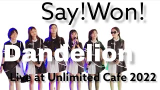 Download Lagu Say!Won! - Dandelion Live at Unlimited Cafe MP3