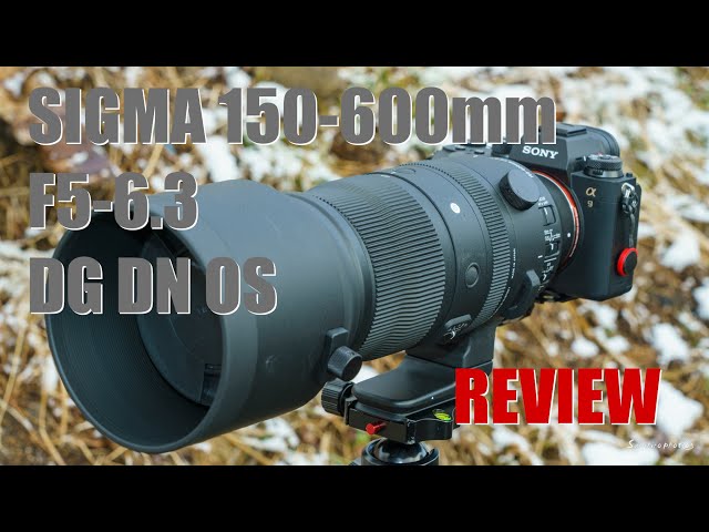 レビュー】SIGMA 150-600mm F5-6.3 DG DN OS Sports Eマウント用 - YouTube