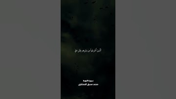 اذن للذين يقاتلون بأنهم ظلموا وان الله على نصرهم لقدير | سورة التوبة | محمد صديق المنشاوي