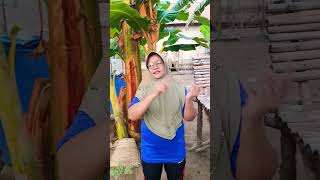 dola dola cis cis #fpy #dance #shorts #viral #remix #trend