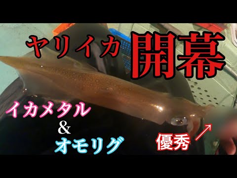 ヤリイカメタル 渋い状況でしたがこのスッテとドロッパーがイカを絞り出してくれました イカメタル Youtube