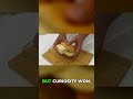 🤯 Soap + Bread for Home Pests?! You WON'T Believe This!