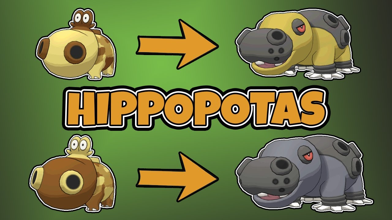 hippopotas evolution chart