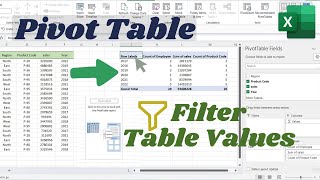 Pivot Table | Filter Table Values | Excel data filter