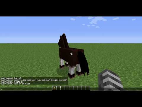 Video: Hvordan Man Bruger En Hest?