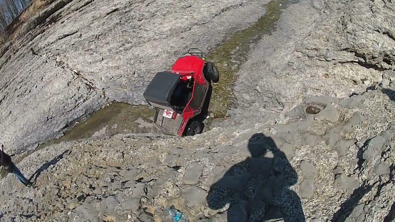 Little Blue at Disney, OK