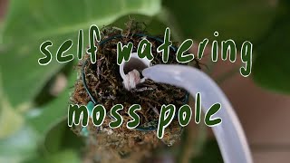 DIY | self watering moss pole