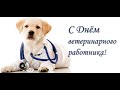 31 августа-День работника ветеринарной медицины//August 31- day of the veterinary medicine worker