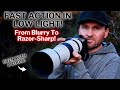 Fast Action in Low Light! | Razor-Sharp Birds-of-Paradise!