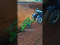 Tudo começou com um sonho… #brasil #agro