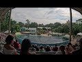 Dolphin Adventures - Dolphins show at Seaworld Orlando