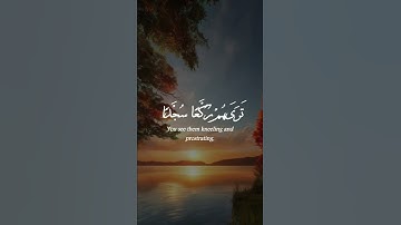 تلاوة مريحة لقلبك 💙🌿 بصوت الشيخ ياسر الدوسري  #راحة_نفسية  #ارح_قلبك #explore