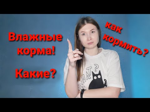 Влажные корма для кошек. Какие? Как кормить?