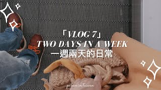 WEEKLOG / CARREFOUR GROCERY + JAPANESE KAISEKI ｜台菲夫妻一週兩天日常 / 家樂福 + 日本餐廳懷石料理 ｜Vlog#7 Peihan in Taiwan