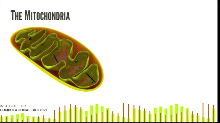 William Bush: Large-Scale Processing of Genomic Da...