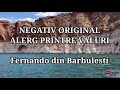 Negativ Original- Alerg printre valuri- Fernando din Barbulesti
