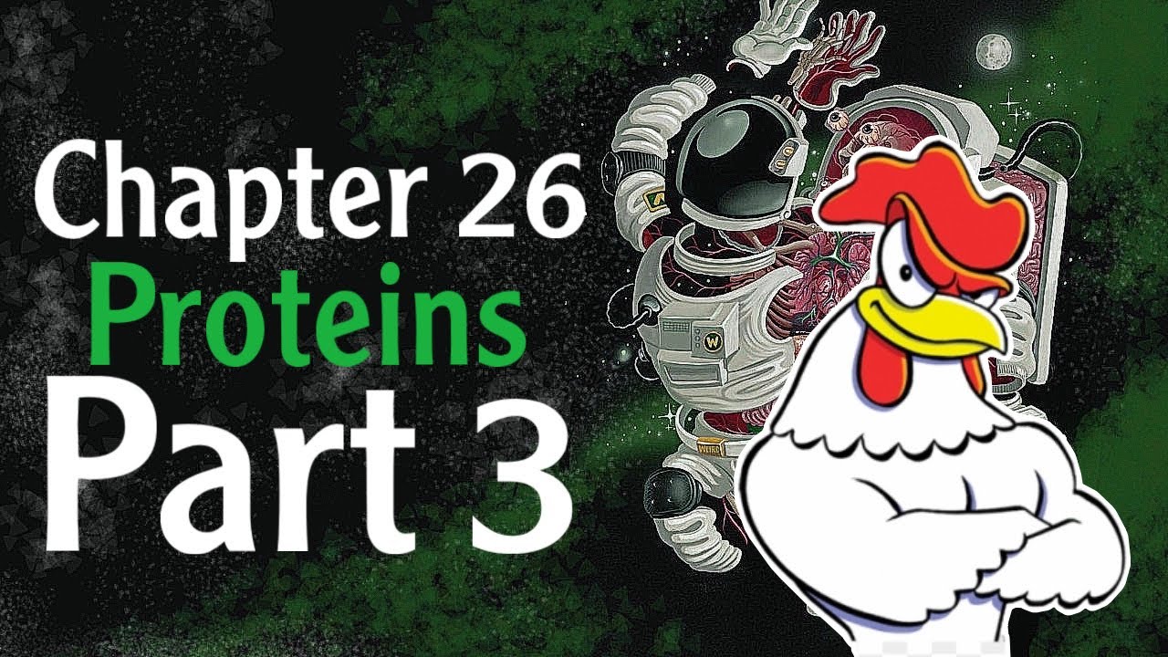 Physiology Chapter 26 proteins digestion & absorption part 3 ( فسلجة وزاري )
