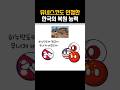 유네스코도 인정한 한국의 복원 능력
