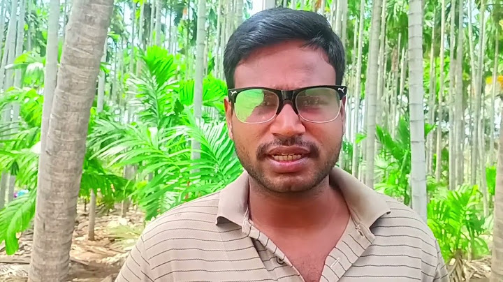 Singappenne Today Promo | July 06 2025 | Singappenne Serial Review | Serial Pechu