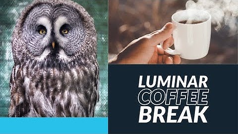 Luminar Coffee Break: Loading Skies, Textures and Looks