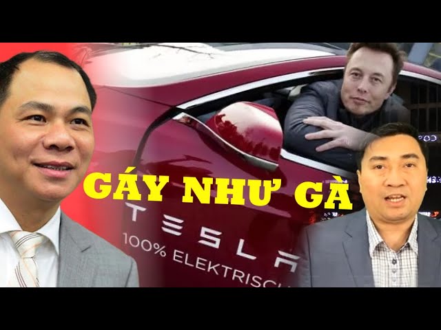 Sau khi nghe gà con VinFast “gáy”, đại bàng Tesla “tung chưởng”! - YouTube