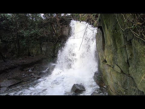 waterfall walk 2024