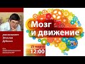 Лекция «Мозг и движения» | ЗПШ 2019