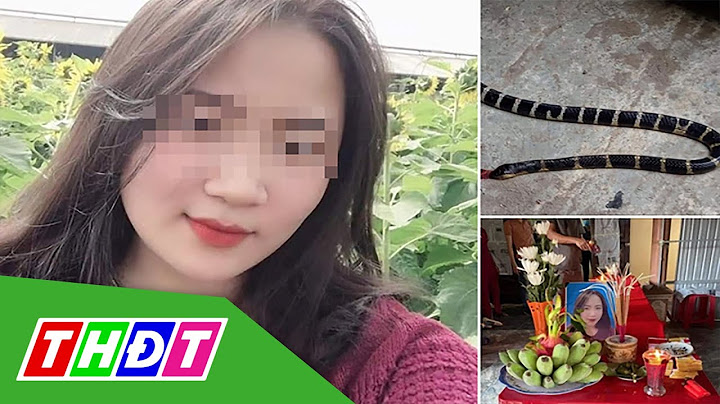 Đang ngủ trong nhà, cô gái trẻ bị rắn cạp nia cắn t.ử v.o.n.g ở Nghệ An | THDT