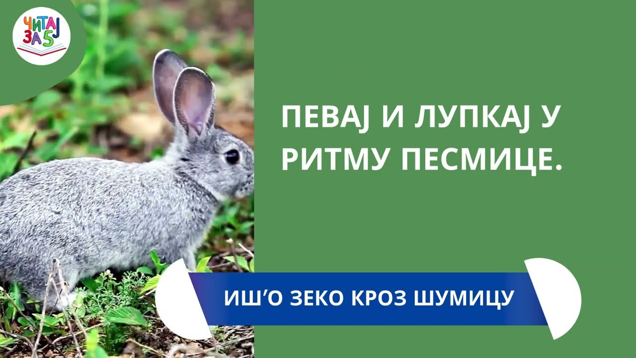 BROJALICA: IŠ’O ZEKO KROZ ŠUMICU – Čitaj za 5