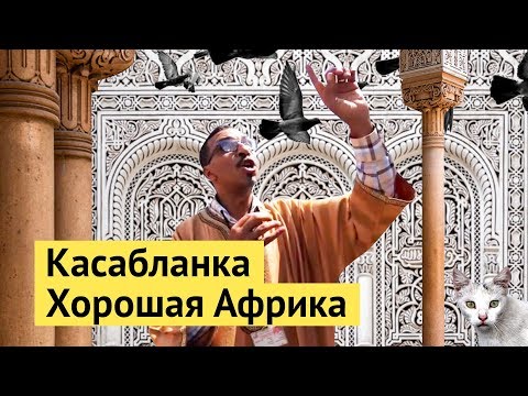 Видео: Лучшее время для посещения Касабланки