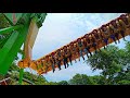 Naik tornado sampe muntah @dufan