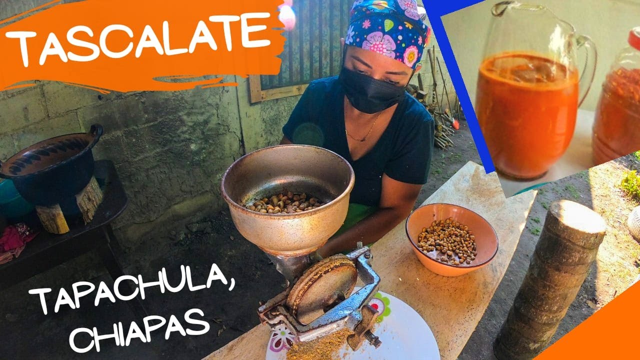 No sólo el pozol: Bebidas prehispánicas hechas con cacao - El Heraldo de  Tabasco | Noticias Locales, Policiacas, sobre México, Tabasco y el Mundo